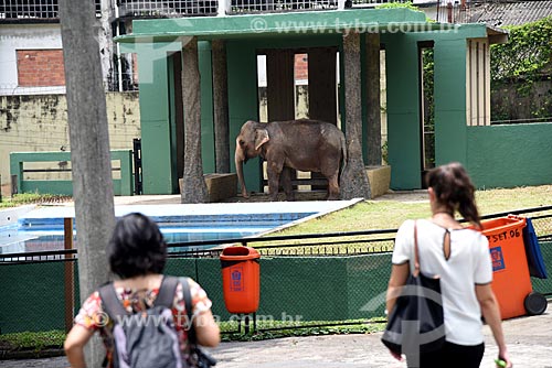  Pessoas e elefante no Jardim Zoológico do Rio de Janeiro  - Rio de Janeiro - Rio de Janeiro (RJ) - Brasil