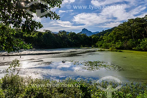  Lagoa na Reserva Ecológica de Guapiaçu  - Cachoeiras de Macacu - Rio de Janeiro (RJ) - Brasil