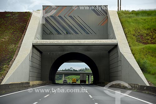  Túnel na Rodovia dos Bandeirantes (SP-348) sob a ferrovia  - Campinas - São Paulo (SP) - Brasil