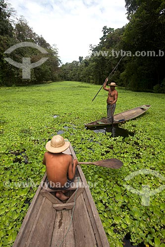  Menino e pescador de pirarucu na Reserva de Desenvolvimento Sustentável Mamirauá  - Tefé - Amazonas (AM) - Brasil