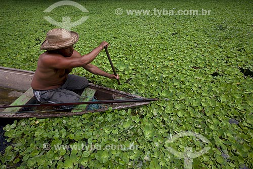  Pescador de pirarucu na Reserva de Desenvolvimento Sustentável Mamirauá  - Tefé - Amazonas (AM) - Brasil