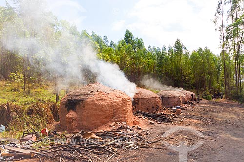  Forno usado na produção de carvão vegetal  - Guarani - Minas Gerais (MG) - Brasil