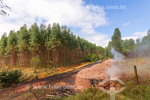  Forno usado na produção de carvão vegetal com plantação de eucalipto ao fundo  - Guarani - Minas Gerais (MG) - Brasil