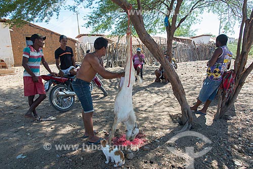  Homem desossando cabra (Capra aegagrus hircus) na Aldeia Caatinga Grande - Tribo Truká  - Cabrobó - Pernambuco (PE) - Brasil