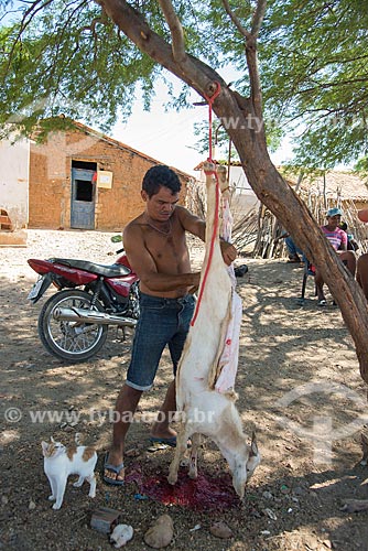  Homem desossando cabra (Capra aegagrus hircus) na Aldeia Caatinga Grande - Tribo Truká  - Cabrobó - Pernambuco (PE) - Brasil