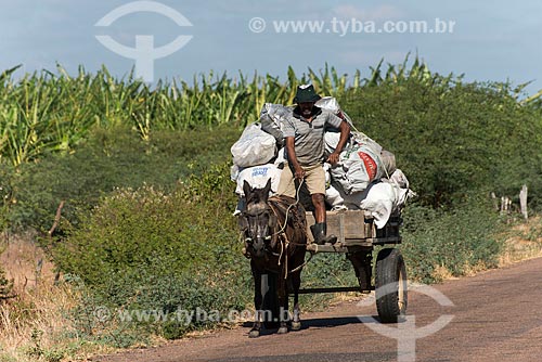  Índio truká transportando carvão em carroça - Tribo Truká  - Cabrobó - Pernambuco (PE) - Brasil