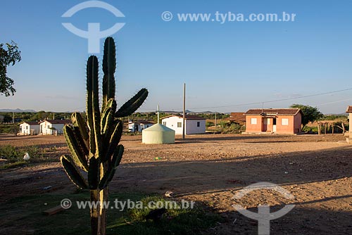  Casas na Aldeia Caatinga Grande - Tribo Truká  - Cabrobó - Pernambuco (PE) - Brasil
