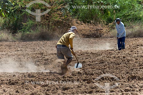  Trabalhadores rurais fazendo canal de irrigação para plantação na zona rural da Tribo Truká  - Cabrobó - Pernambuco (PE) - Brasil