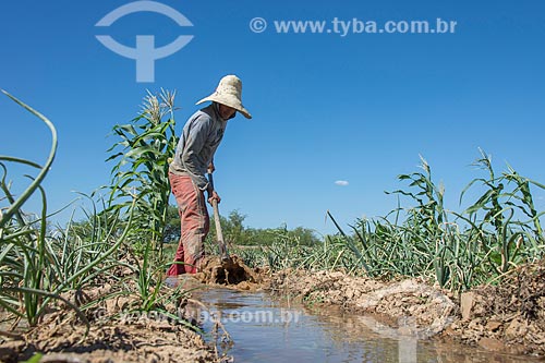  Trabalhador rural fazendo canal de irrigação para plantação de cebola na zona rural da Tribo Truká  - Cabrobó - Pernambuco (PE) - Brasil