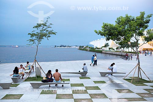  Pessoas sentadas no gramado da Praça Mauá com a Ponte Rio-Niterói ao fundo  - Rio de Janeiro - Rio de Janeiro (RJ) - Brasil