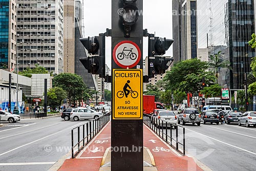  Ciclovia na Avenida Paulista  - São Paulo - São Paulo (SP) - Brasil