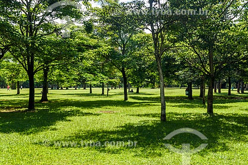  Vista do Parque do Ibirapuera  - São Paulo - São Paulo (SP) - Brasil