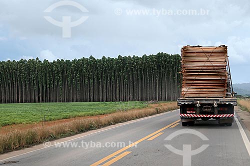  Caminhão carregando madeira na Rodovia BR-364 com plantação de soja à esquerda e plantação de eucalipto ao fundo  - Rondônia (RO) - Brasil