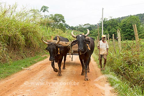  Carro de boi em zona rural  - Guarani - Minas Gerais (MG) - Brasil