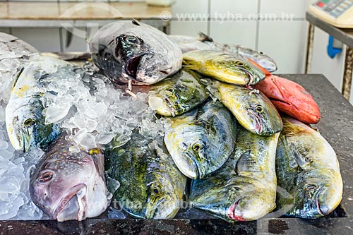  Detalhe de peixe à venda no mercado de peixes do Porto da Barra na Praia de Manguinhos  - Armação dos Búzios - Rio de Janeiro (RJ) - Brasil