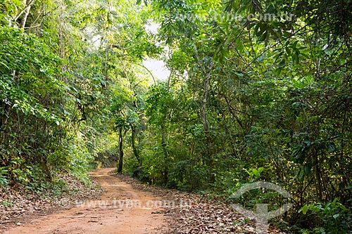  Estrada de Terra na zona rural da cidade de Guarani  - Guarani - Minas Gerais (MG) - Brasil