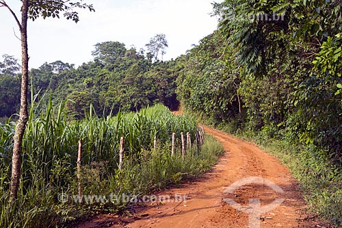  Estrada de Terra na zona rural da cidade de Guarani  - Guarani - Minas Gerais (MG) - Brasil