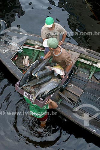  Transporte de peixes no Rio Negro  - Manaus - Amazonas (AM) - Brasil