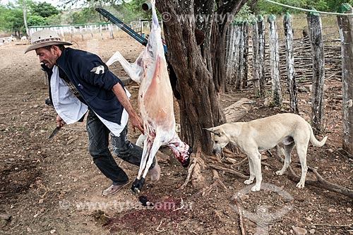  Homem abatendo cabra na zona rural da cidade de Serrita  - Serrita - Pernambuco (PE) - Brasil