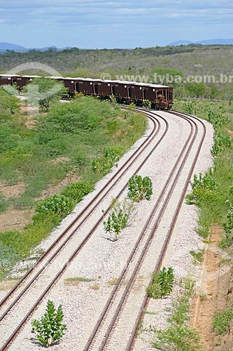  Vista de trem em trecho da Ferrovia Nova Transnordestina  - Salgueiro - Pernambuco (PE) - Brasil