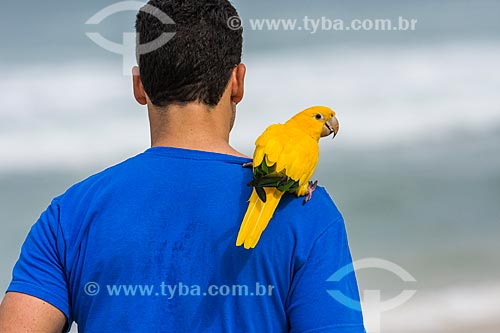  Homem correndo com uma guaruba (Guaruba guarouba) nos ombros na orla da Praia da Barra da Tijuca  - Rio de Janeiro - Rio de Janeiro (RJ) - Brasil