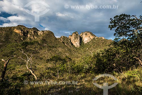  Vista geral da vegetação de cerrado no Parque Nacional da Serra do Cipó próximo ao Cânion das Bandeirinhas  - Santana do Riacho - Minas Gerais (MG) - Brasil