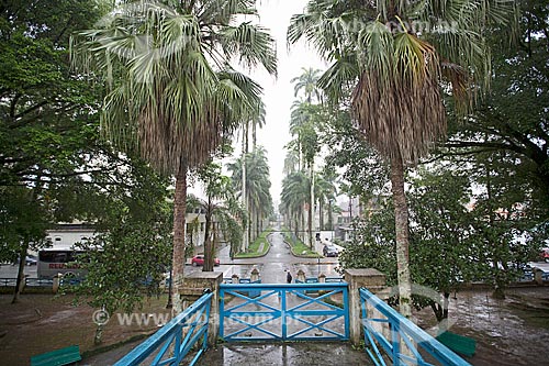  Alameda com Palmeira no Museu Nacional de Imigração e Colonização (1870)  - Joinville - Santa Catarina (SC) - Brasil