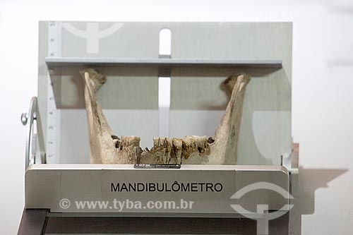  Detail of mandibulômetro - método de medição da mandíbula a fim de identificar o esqueleto de acordo com sexo, tamanho etc - Museu Arqueológico de Sambaqui de Joinville  - Joinville - Santa Catarina (SC) - Brasil