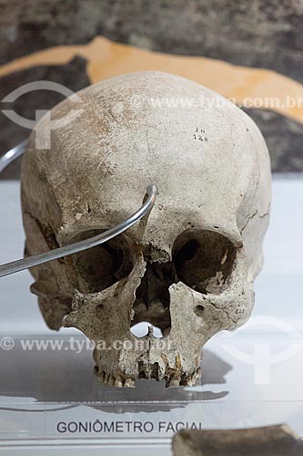  Detalhe de gôniometro facial - método de medição do crânio a fim de identificar o esqueleto de acordo com sexo, tamanho etc - no Museu Arqueológico de Sambaqui de Joinville  - Joinville - Santa Catarina (SC) - Brasil