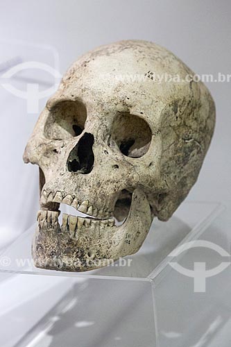  Detalhe de crânio em exibição no Museu Arqueológico de Sambaqui de Joinville  - Joinville - Santa Catarina (SC) - Brasil