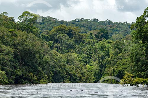  Leito do Rio Iratapuru na Reserva de Desenvolvimento Sustentável do Iratapuru  - Laranjal do Jari - Amapá (AP) - Brasil