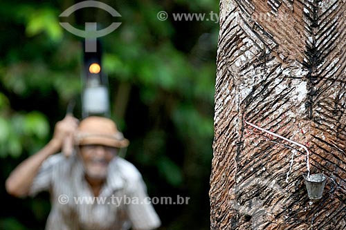  Detalhe de coleta de látex na comunidade ribeirinha Nossa Senhora de Fátima com seringueiro ao fundo  - Manaus - Amazonas (AM) - Brasil