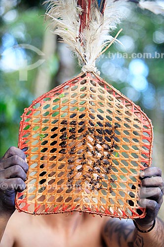  Detalhe de luva de palha com formigas tucandeiras usadas para o ritual da tucandeira na Aldeia Tarruapé da tribo Sateré-mawé  - Manacapuru - Amazonas (AM) - Brasil