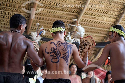  Ritual da tucandeira - rito de passagem da adolescência para a idade adulta - na Aldeia Tarruapé da tribo Sateré-mawé  - Manacapuru - Amazonas (AM) - Brasil