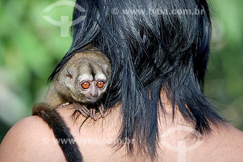  Detalhe de índio da Tribo Ticuna com macaco-da-noite (Aotus Trivirgatus)  - Manacapuru - Amazonas (AM) - Brasil