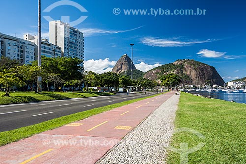  Ciclovia na Praia de Botafogo com o Pão de Açúcar ao fundo  - Rio de Janeiro - Rio de Janeiro (RJ) - Brasil