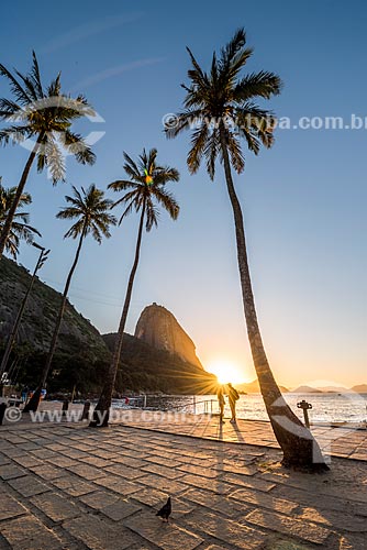  Vista do amanhecer na Praia Vermelha com o Pão de Açúcar ao fundo  - Rio de Janeiro - Rio de Janeiro (RJ) - Brasil