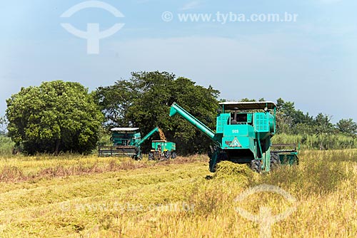  Colheita mecanizada de arroz  - Tremembé - São Paulo (SP) - Brasil