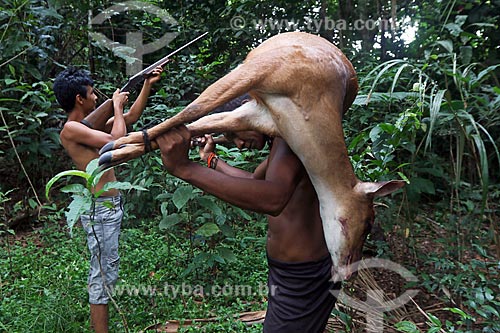  Ribeirinho carregando veado caçado na floresta amazônica  - Amazonas (AM) - Brasil