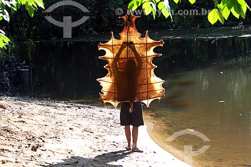  Curtimento artesanal de couro de veado na floresta amazônica  - Amazonas (AM) - Brasil