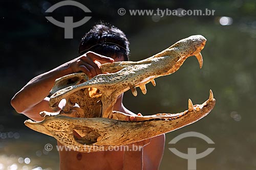  Ribeirinho segurando o esqueleto do crânio de um jacaré-açu (Melanosuchus niger)  - Amazonas (AM) - Brasil