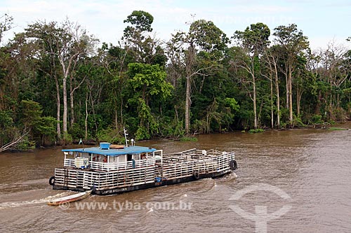  Balsa transportando gado no Rio Amazonas entre as cidade de Manaus e Itacoatiara  - Manaus - Amazonas (AM) - Brasil