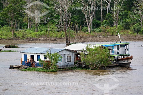  Casas em comunidade ribeirinha às margens do Rio Amazonas entre as cidade de Manaus e Itacoatiara  - Manaus - Amazonas (AM) - Brasil