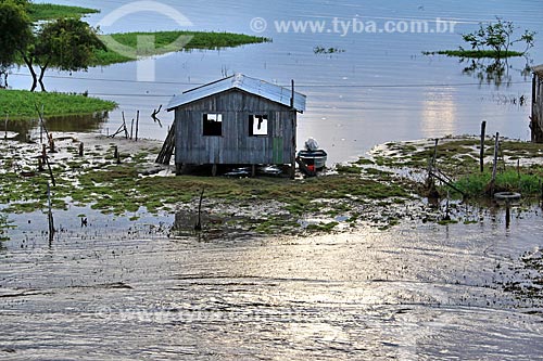  Casa em comunidade ribeirinha às margens do Rio Amazonas próximo à Itacoatiara  - Itacoatiara - Amazonas (AM) - Brasil