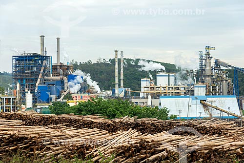  Vista da fábrica da Fibria Celulose com pilhas de troncos de árvores  - Jacareí - São Paulo (SP) - Brasil