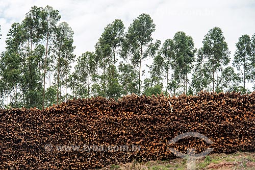  Vista de pilhas de troncos de árvores na fábrica da Fibria Celulose  - Jacareí - São Paulo (SP) - Brasil