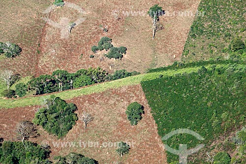  Vista de área desmatada no Parque Estadual do Ibitipoca  - Lima Duarte - Minas Gerais (MG) - Brasil