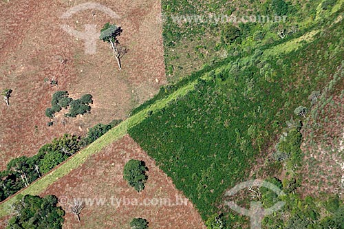  Vista de área desmatada no Parque Estadual do Ibitipoca  - Lima Duarte - Minas Gerais (MG) - Brasil