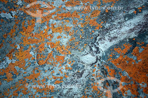  Detalhe de líquen em rocha no Parque Estadual do Ibitipoca  - Lima Duarte - Minas Gerais (MG) - Brasil