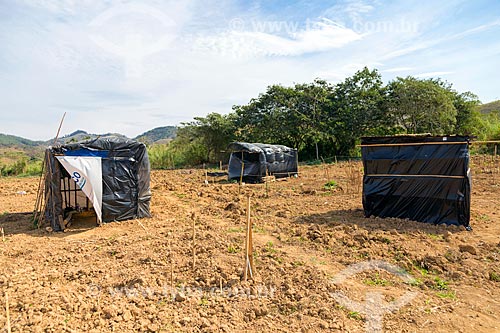  Barracas no acampamento Liberdade do Movimento dos Trabalhadores Rurais Sem Terra  - Coronel Pacheco - Minas Gerais (MG) - Brasil